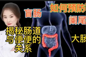 医学探秘 盲肠 直肠 结肠 阑尾炎 便秘到底是怎么形成如何分布 ？视频封面