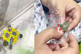 广西一萌娃听说染色乌龟会畸形，爸爸拿胶带粘掉颜色引网友点赞