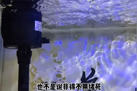 三合一水泵的出氧口堵不堵，取决于下列因素视频封面