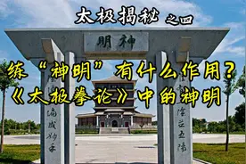 @头条本地通《太极揭秘》（4）神明的作用？太极拳论怎么讲神明？视频封面