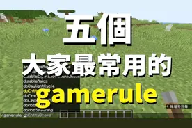 我的世界：开挂有理！五个最常用的游戏指令都在这里！