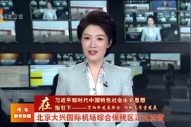 北京大兴国际机场综合保税区正式运营视频封面