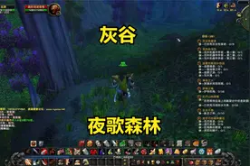 魔兽世界单机71-开始做灰谷森林的任务视频封面