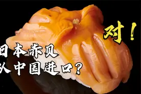 赤贝-日本传统的寿司食材、基本靠进口！握寿司刺身处理全介绍视频封面