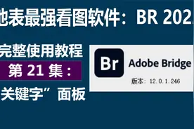 地表最强看图软件：BR2022完整教程第21集"关键字"面板视频封面
