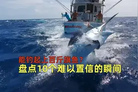 盘点10个难以置信的瞬间，都是生活中奇趣的时刻！视频封面