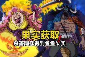 大妈获得魂魂果实的方法确定，凯多杀害同伴得到鱼鱼果实
