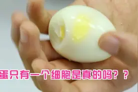 那么大的鸡蛋，为什么只有一个细胞？科学是这么解释的视频封面