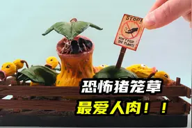 模型制作：大街上奇怪的臭味，竟然是食人猪笼草散发出来的！视频封面