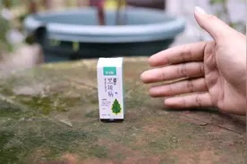 养花叶片有黑斑怎么办？园艺师教你，就用黑斑病专用，快速除黑斑视频封面