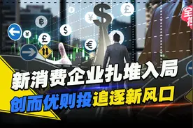新消费企业纷纷投资上瘾？资本市场的钱真的那么好赚吗？视频封面