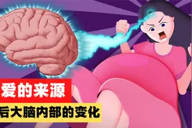 爸爸妈妈为什么爱我们？科学角度上讲，是他们的大脑发生了变化！视频封面