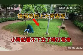 情侣在草地上大秀恩爱，路过的小青蛇看不下去了，直接棒打鸳鸯视频封面