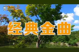 追忆逝去的岁月，那些年我们听过的流行大街小巷的那些经典金曲