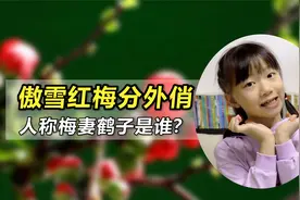 傲雪红梅分外俏，赞梅古诗格外美，人称“梅妻鹤子”是谁呢？视频封面