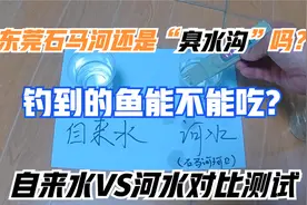 东莞石马河钓到的鱼能吃吗？水质怎么样？对比测试看看结果如何视频封面