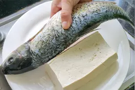 16块一条的草鱼，配上豆腐做一锅太好吃了，嫩滑多汁，营养又下饭视频封面