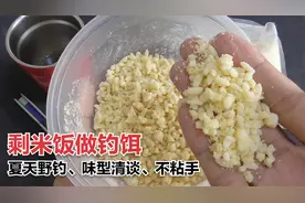 剩米饭也可以用来钓鱼，味道清淡不粘手，夏季野钓鲫鱼，不错视频封面