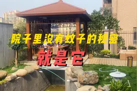 有了这个庭院驱蚊神器，院子再也没有蚊子，放心喝茶聊天吃烧烤！视频封面