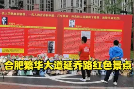 合肥繁华大道延乔路交口红色新景点陈延年、陈乔年烈士怀念墙视频封面