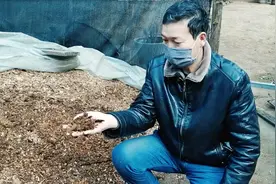 腐熟松树皮！在日常养花“过程中”的“3大”妙用！视频封面