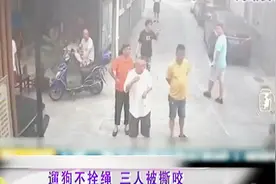 遛狗不栓绳？两条黄狗上来就咬人，狗主人还在一旁教唆视频封面