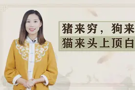 俗话说猪来穷，狗来富，猫来头上顶白布，动物上门有说法，可信吗视频封面