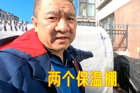 我家院里两个保温棚，“冷棚”和“暖棚”有保温方式什么不同？视频封面