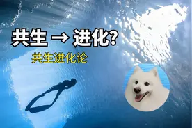 共生进化论？达尔文的进化论被推翻？视频封面
