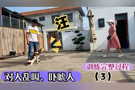 见人狂叫的狗，连主人都止不住，训犬师2分钟搞定，方法太简单了