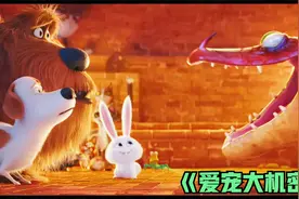 可爱小兔兔，竟是邪恶兔老大！兔兔这么可爱呢！视频封面