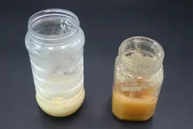 把蜂蜜放在冰箱，轻松辨别真假蜂蜜，太方便了，方法值得收藏视频封面