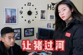 老板面试考美女，一头猪800斤重，但桥的承重是400斤，猪怎么过河视频封面