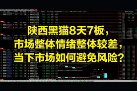 陕西黑猫8天7板，市场整体情绪整体较差，当下市场如何避免风险？视频封面