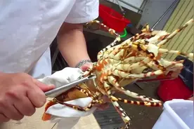 见识一下大厨杀龙虾取龙虾血做美食，真是开眼界了，有些费龙虾视频封面