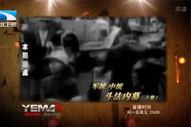 军统中统斗法内幕（下集）视频封面