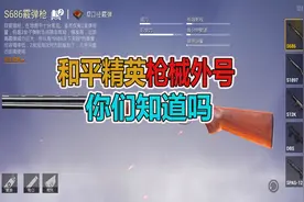 和平精英：枪械外号 你们知道吗视频封面