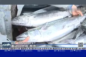 可以尝鲜啦！青岛本地春鲅鱼大量上市，今年的价格怎么样？视频封面