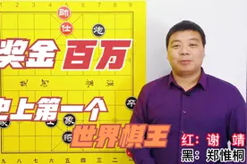 史上第一个棋王，奖金百万，四大陷阱，四次弃子，永载史册的名局视频封面