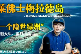 “沙水分离，一个隐世桃源！”P叔侃岛第二十八集 马尔代夫莱佛士视频封面