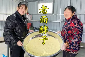 准备10斤玉米面，伯母做老面酵子，发酵20小时，接面6次，太香了视频封面
