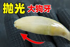 【丧心病狂】花8小时抛光大狗牙，磨到玉化！视频封面