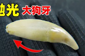 【丧心病狂】花8小时抛光大狗牙，磨到玉化！视频封面
