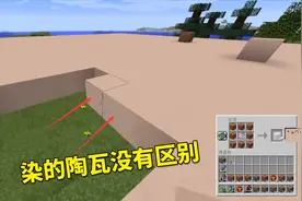 我的世界联机206：白色陶瓦不够，我自己动手染了5组白色陶瓦