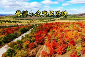 最美小众赏枫胜地，红叶正当时，内蒙古科右前旗平安敖包山风景区视频封面