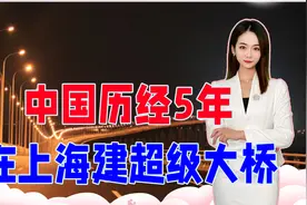 中国历经5年，在上海建了条超级大桥，难度巨大，设计十分大胆视频封面