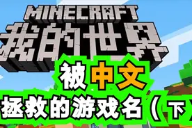 我的世界直译的名字很搞笑！盘点那些被中文拯救的游戏名！视频封面