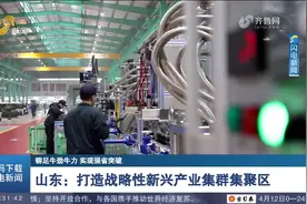 铆足牛劲牛力！山东：7个产业集群入选国家级战略性新兴产业集群视频封面