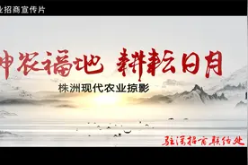 株洲农业招商宣传视频（株洲驻深招商联络处）视频封面