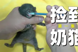 是的，我们多了个孩子视频封面